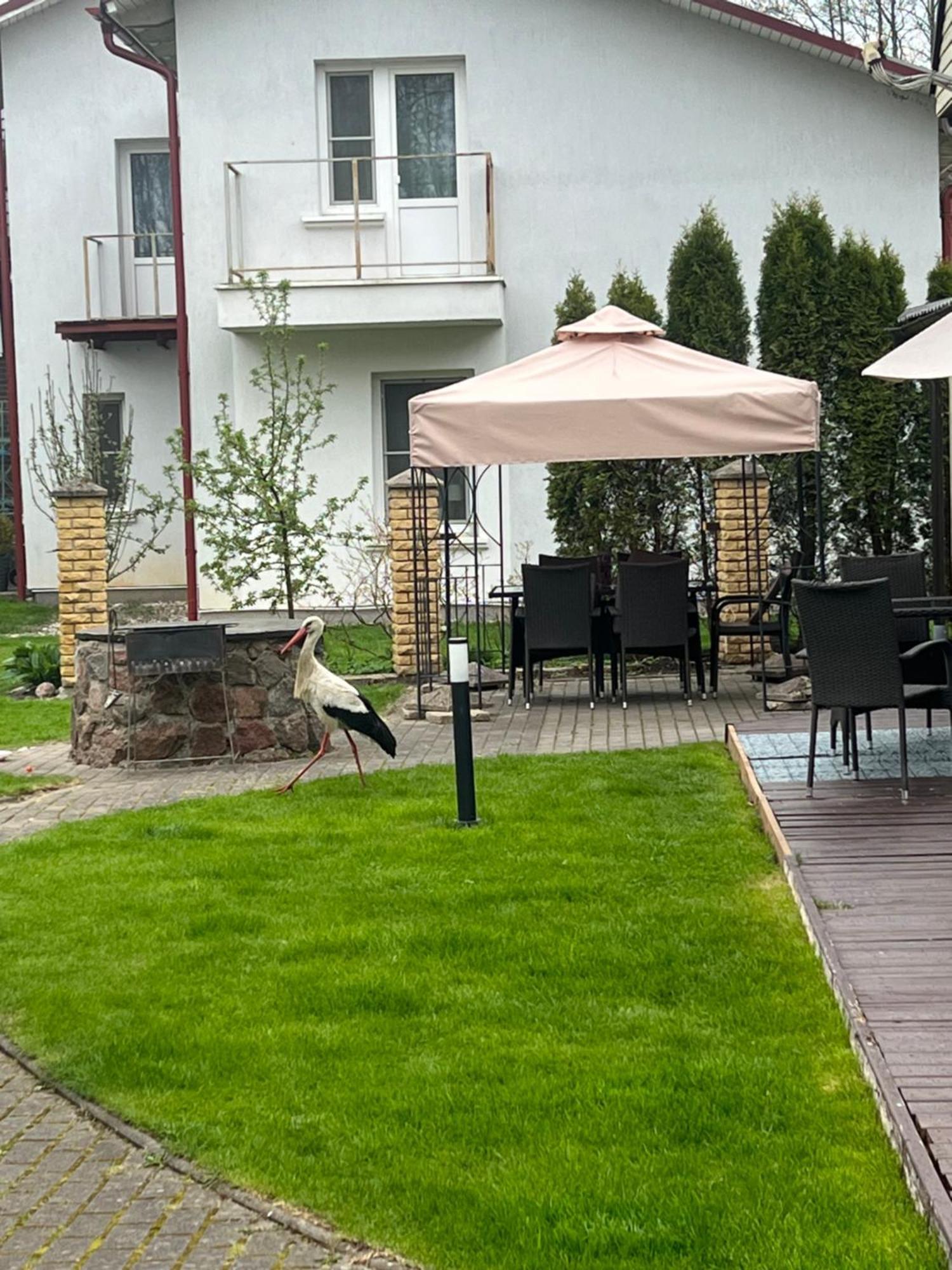 Vila Laurus Palanga Ngoại thất bức ảnh